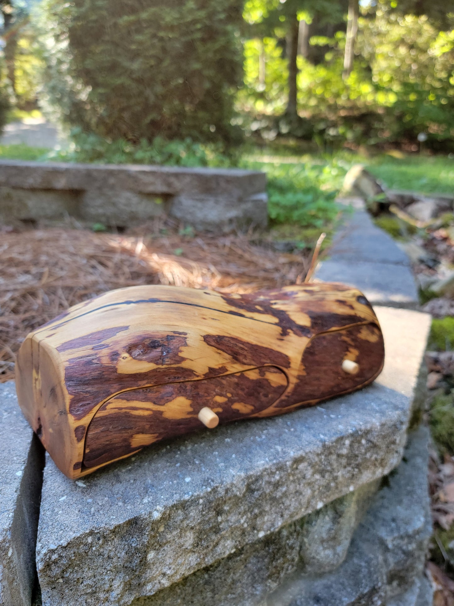 Double drawer mountain laurel bandsaw box #2