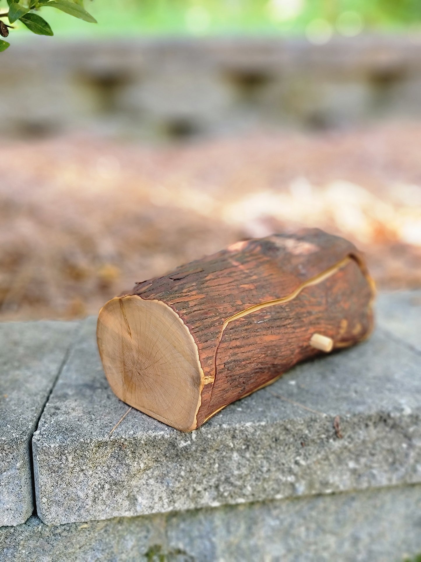 Single drawer mountain laurel bandsaw box #4