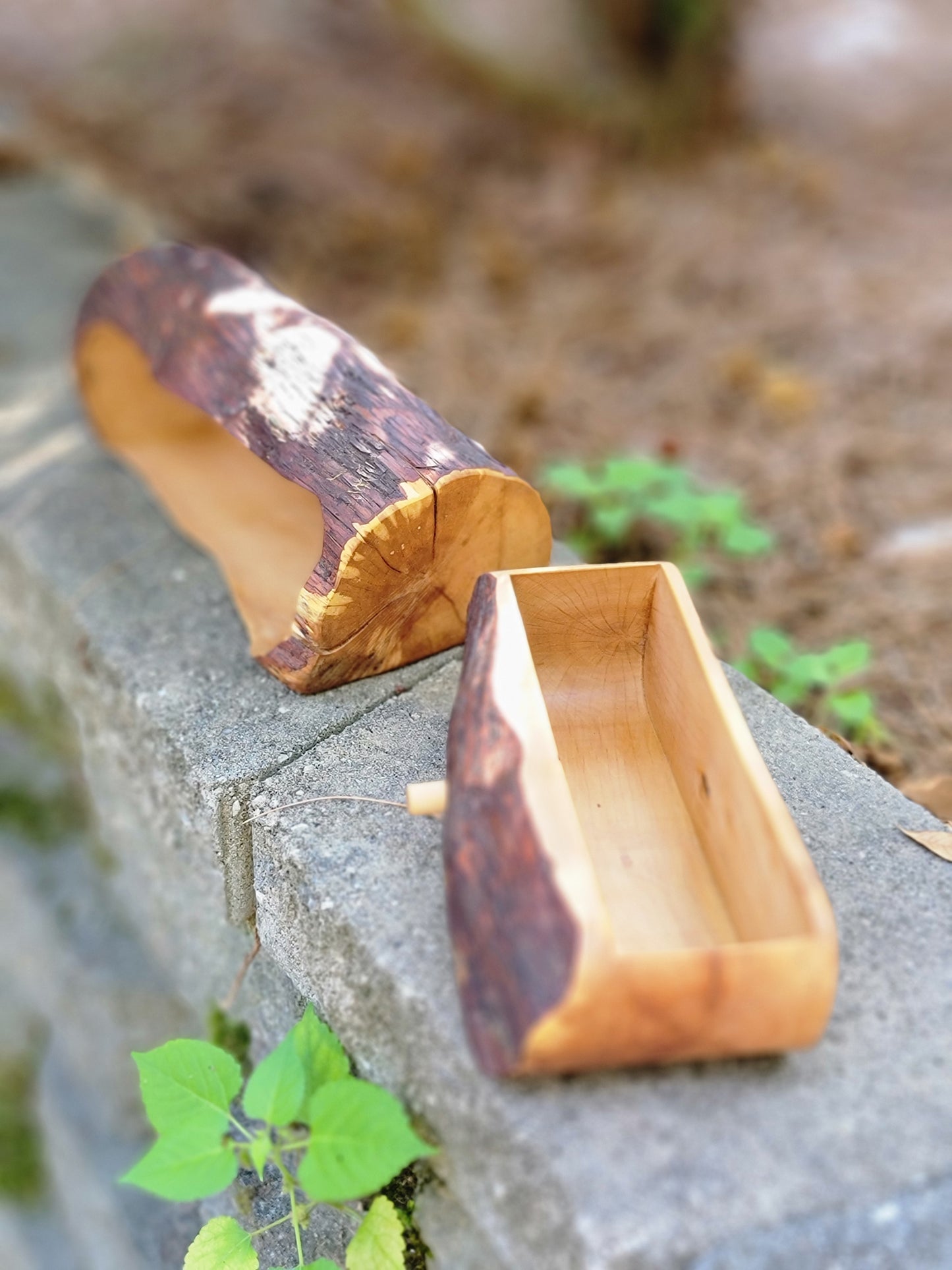 Single drawer mountain laurel bandsaw box #4