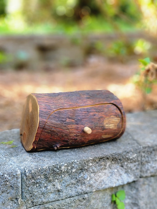 Single drawer mountain laurel bandsaw box #2