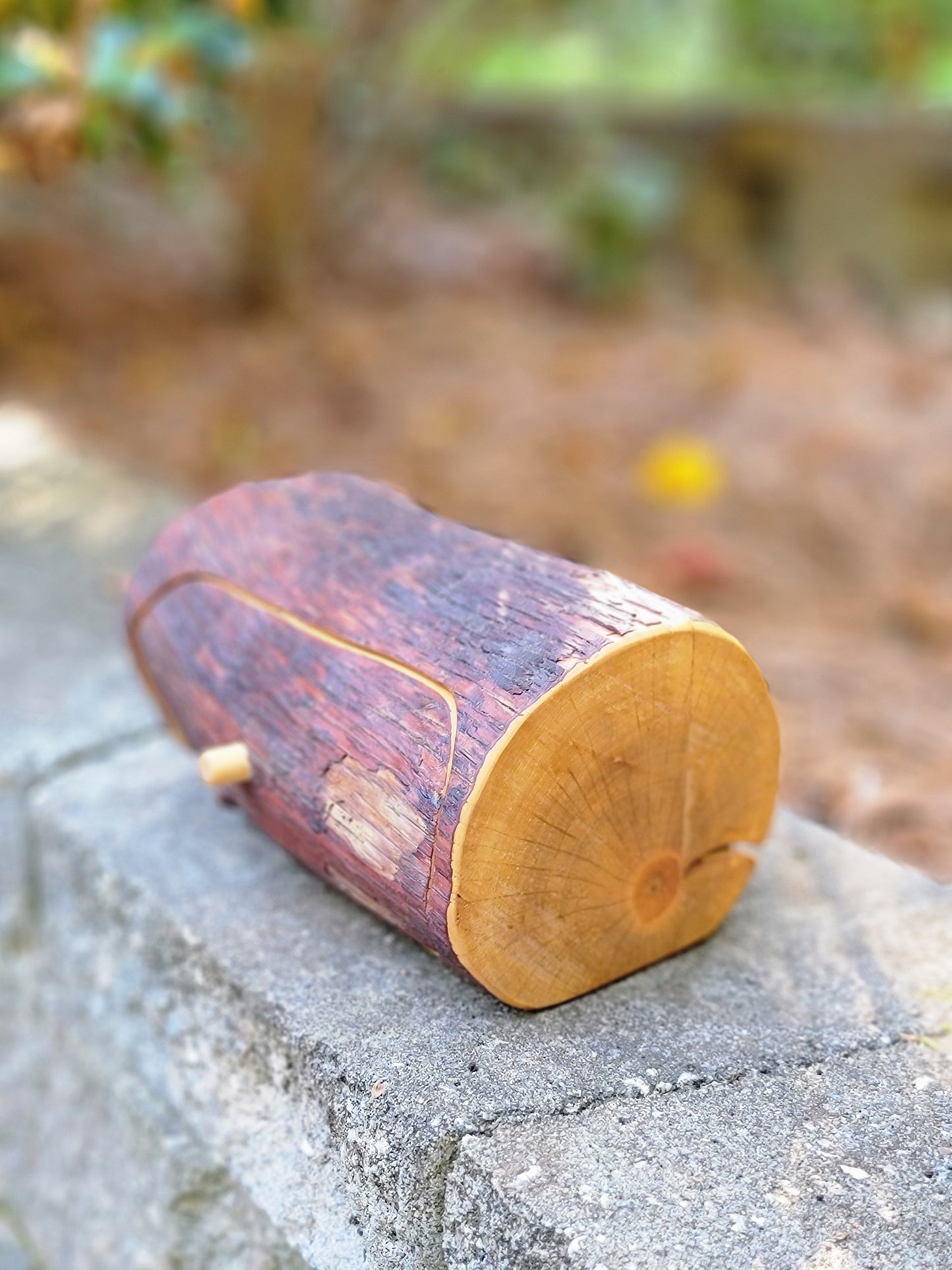 Single drawer mountain laurel bandsaw box #2