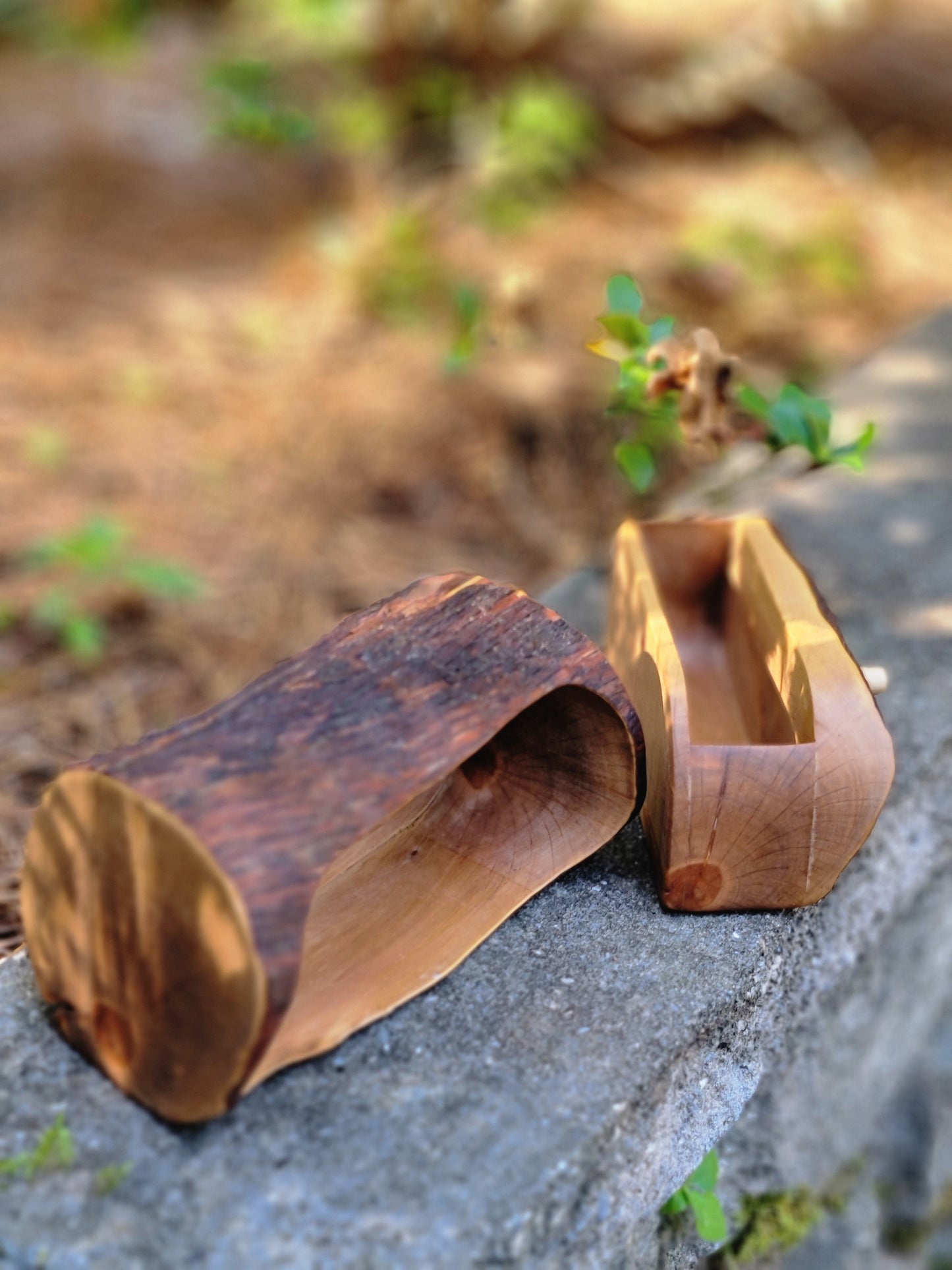 Single drawer mountain laurel bandsaw box #2